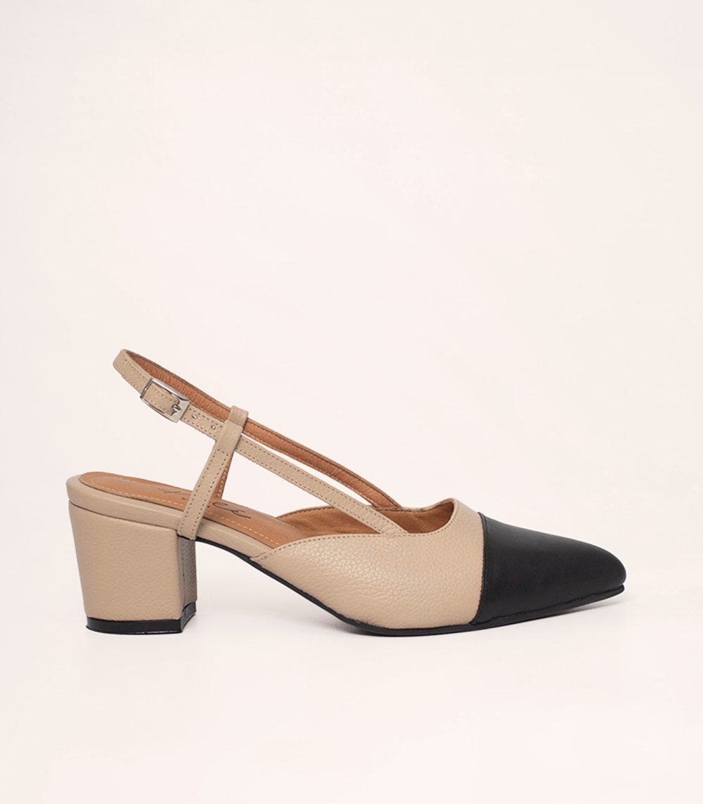 CHARLOTTE 50